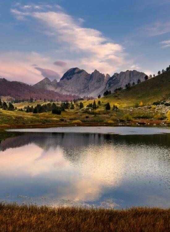 Untitled (700 × 550 px) (550 × 750 px) (3) (1)