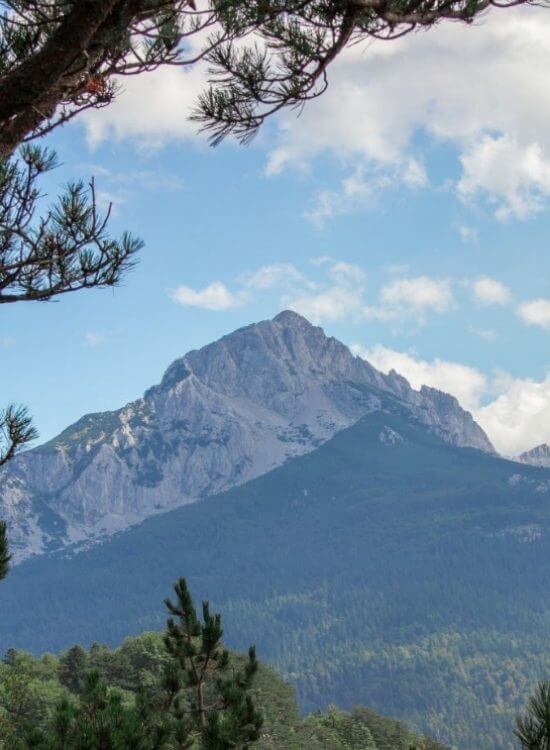 Untitled (700 × 550 px) (550 × 750 px) (5) (1)