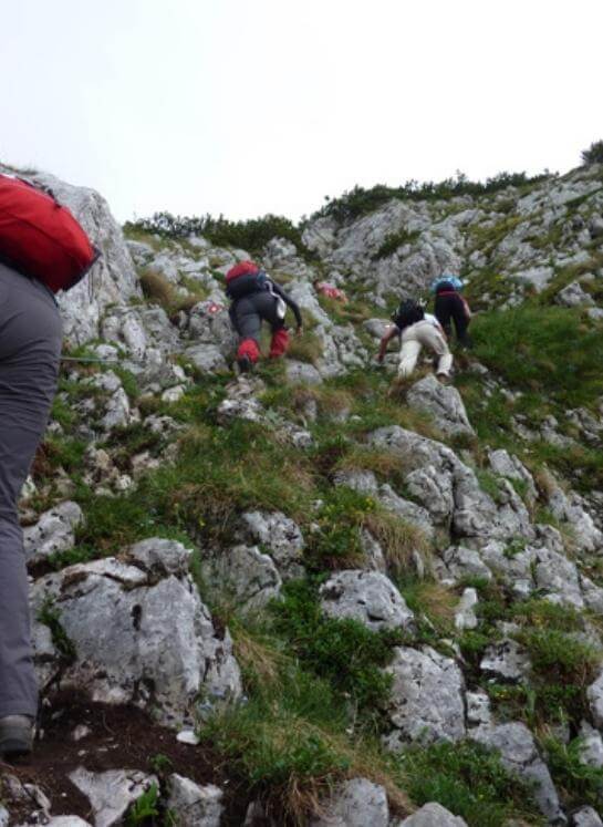 rnovacko - 2022-02-25T155855.195