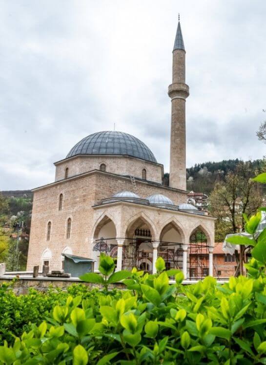 Untitled design (10)