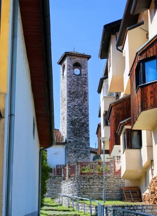 Untitled design (11)