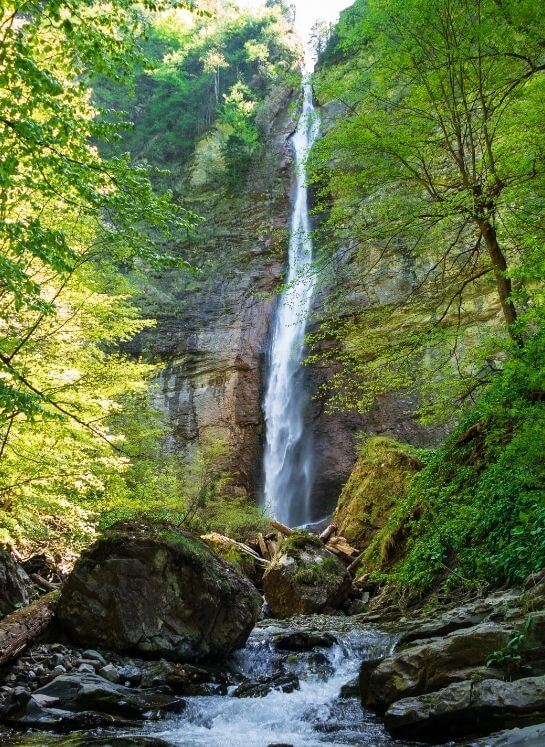 Untitled design (13)