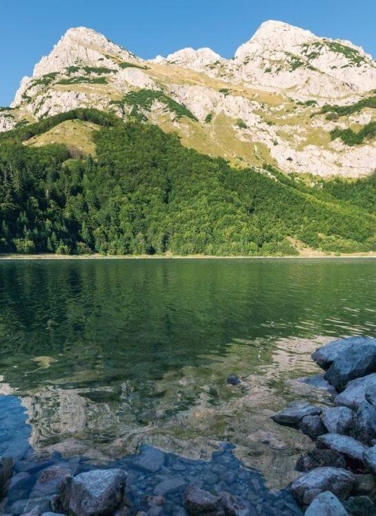 Untitled design (17)