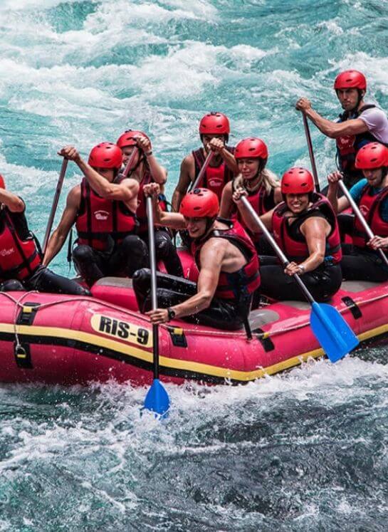 Untitled design (19)